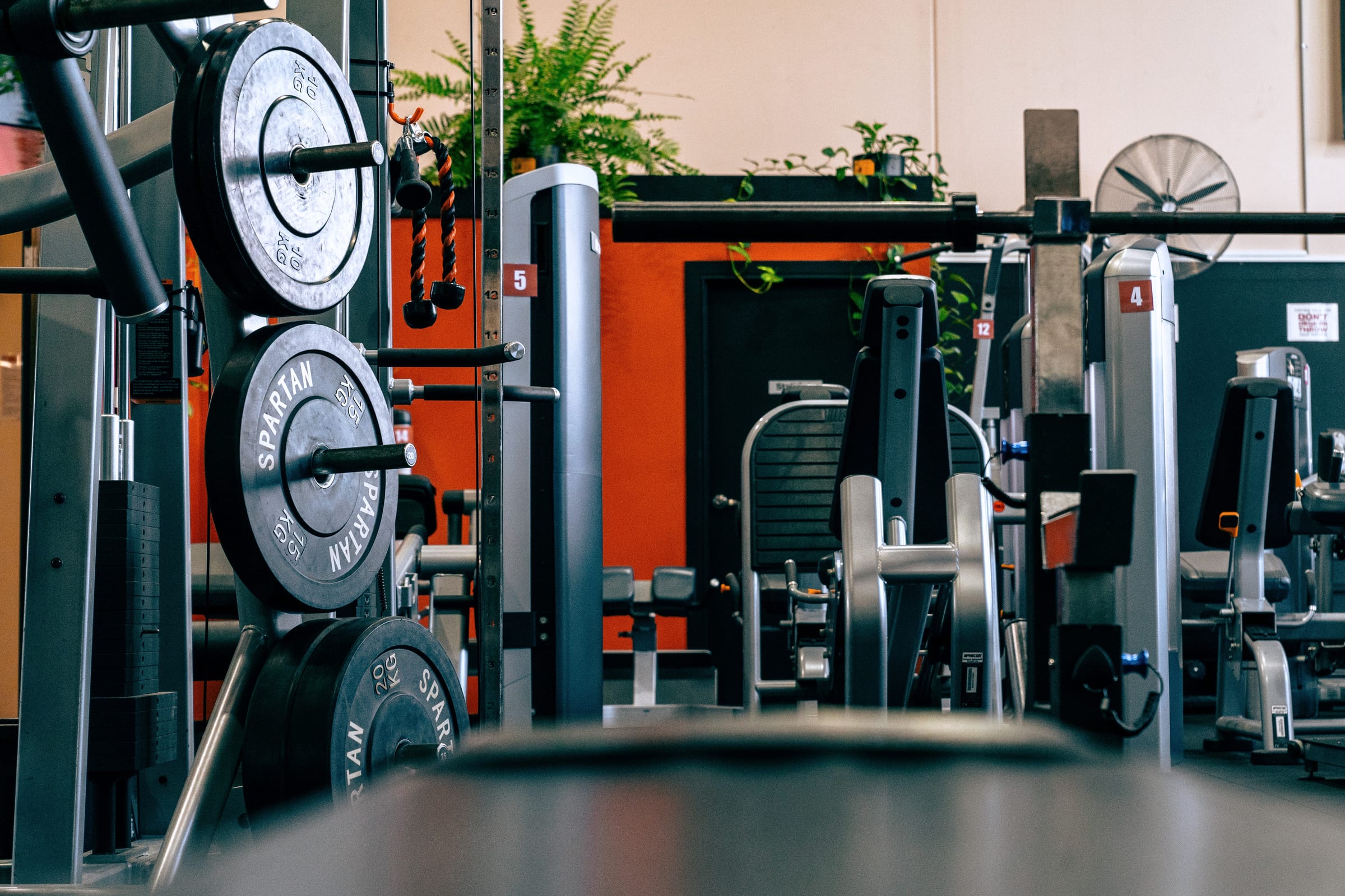 GAINS training space