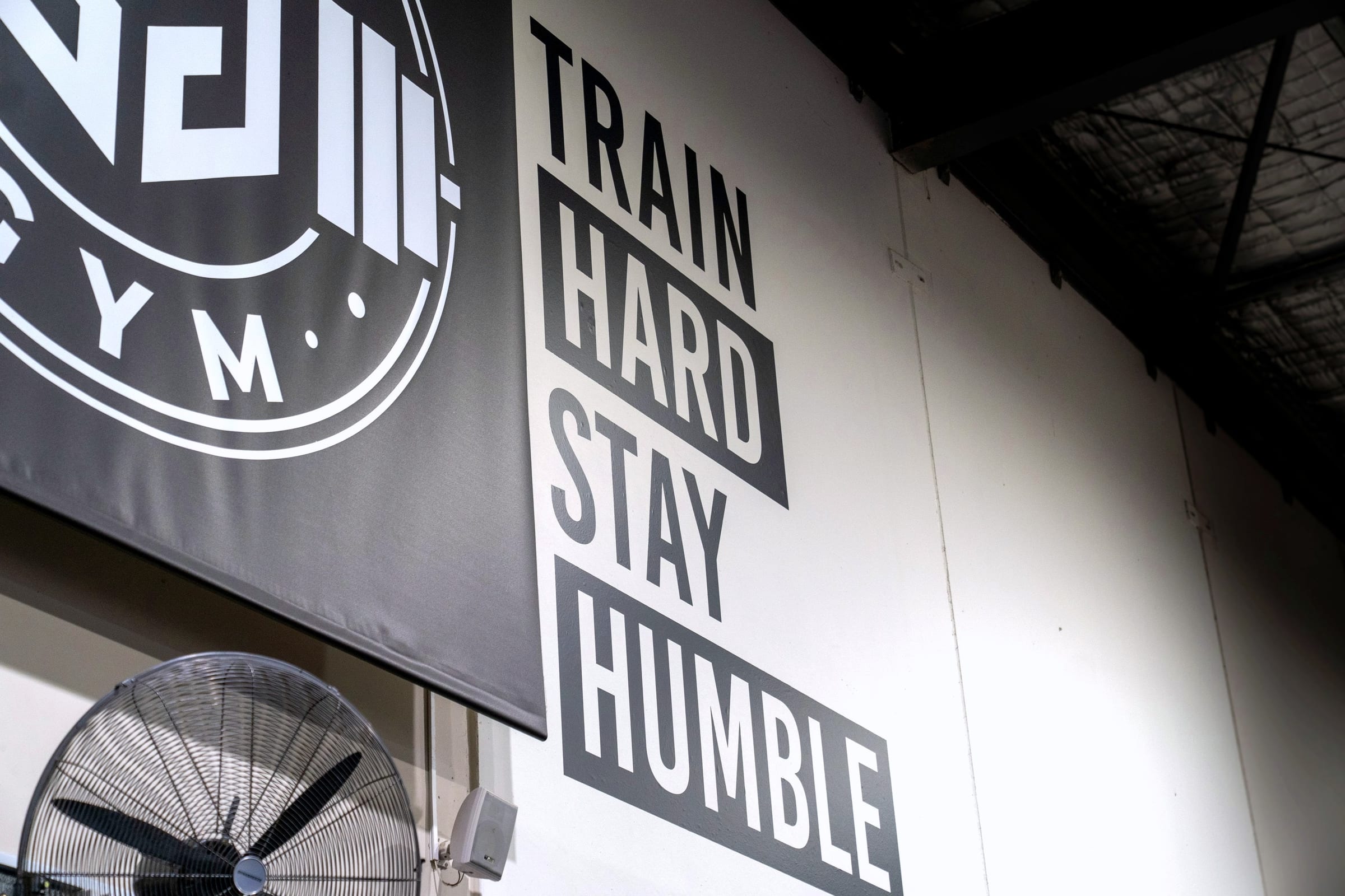 GAINS wall branding