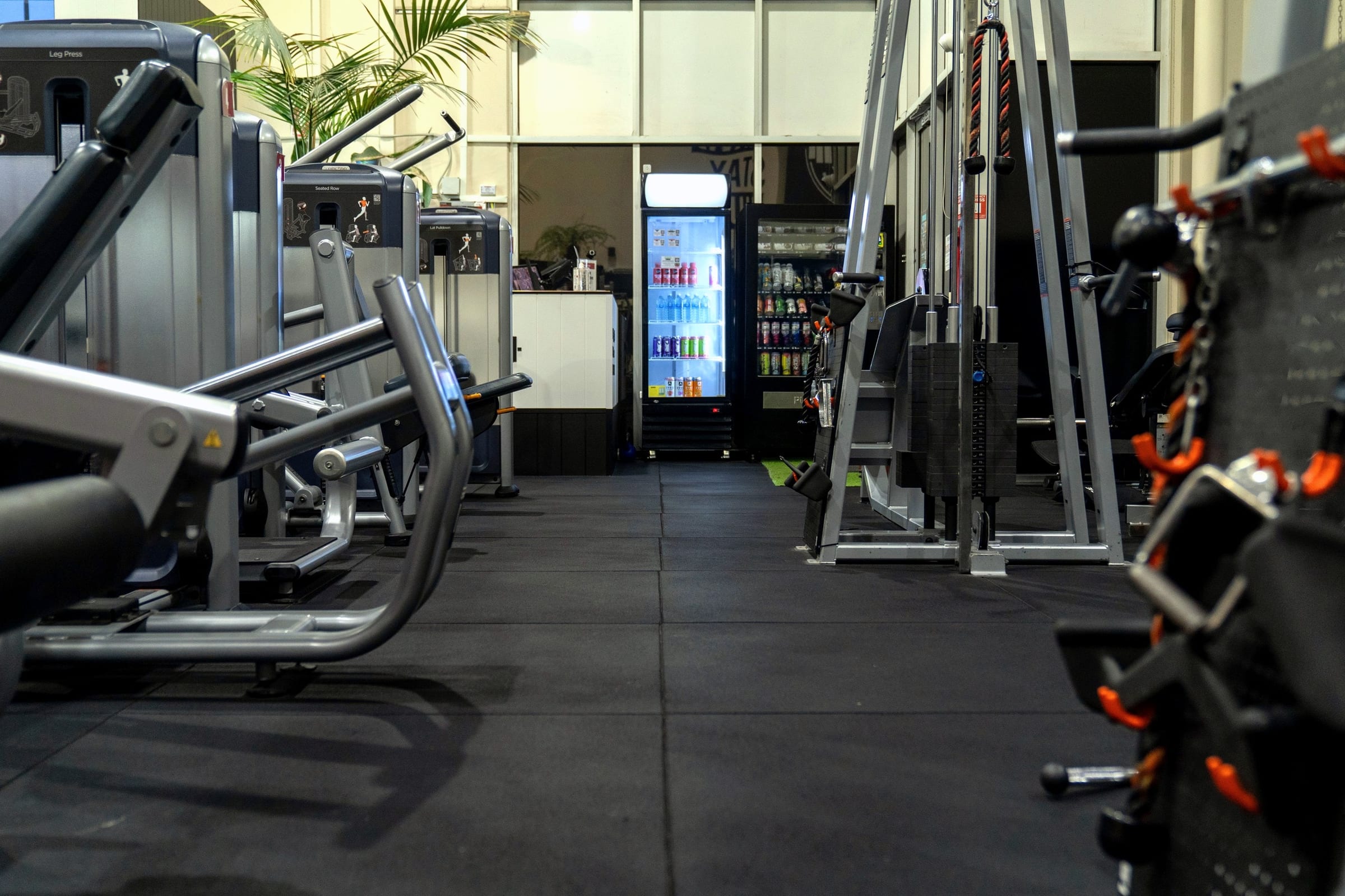 GAINS gym floor
